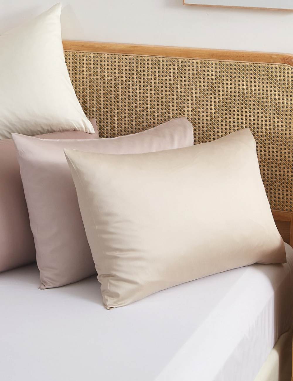 Pillow & Bolster Cases
