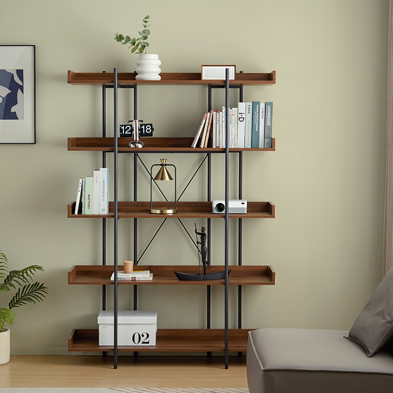Bookcase & Shelves