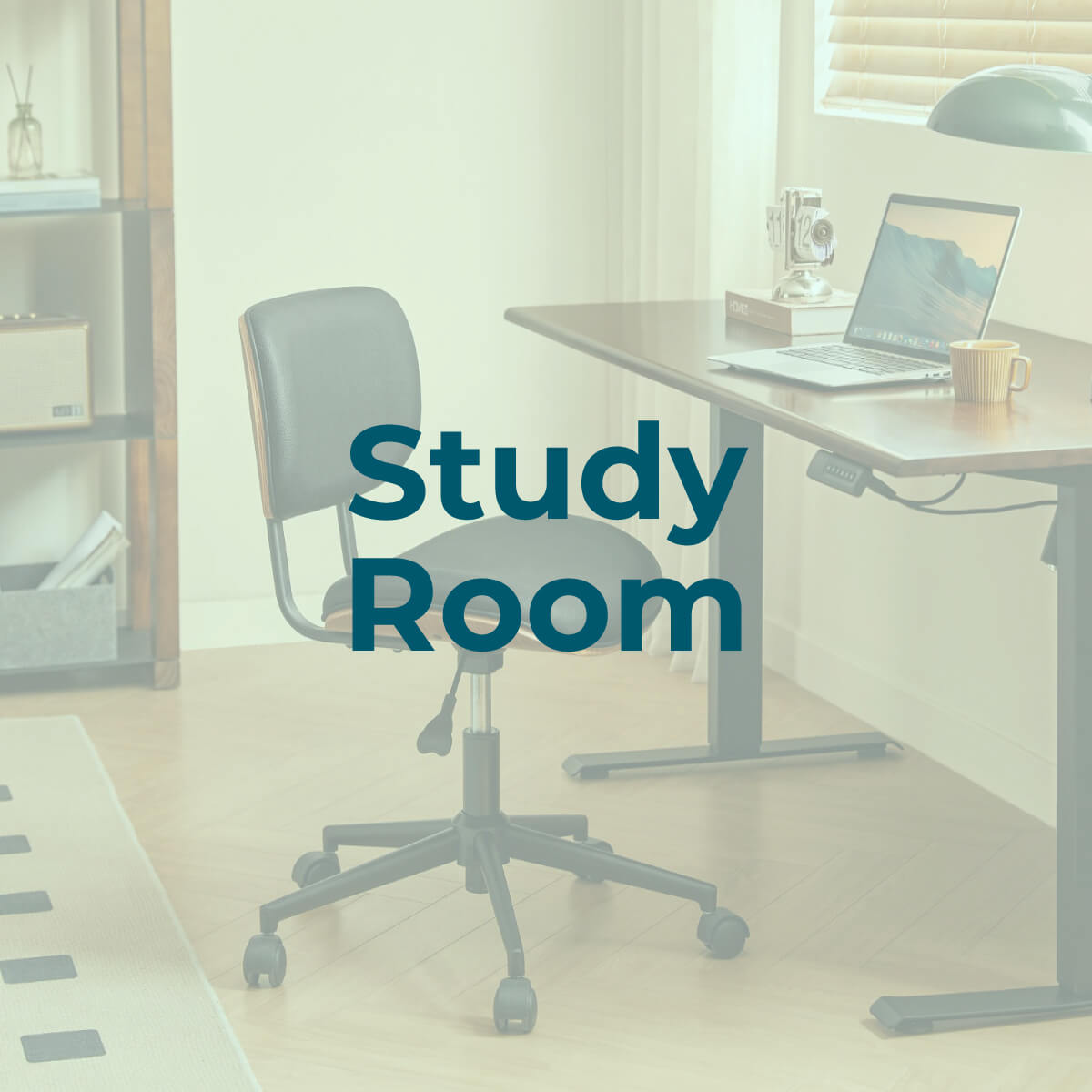 Study Room